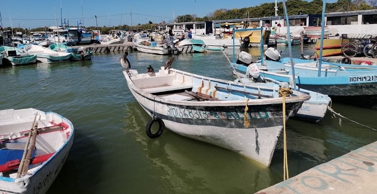 Pesca furtiva de mero desde Celestún a Dzilam de Bravo Desde el Balcon