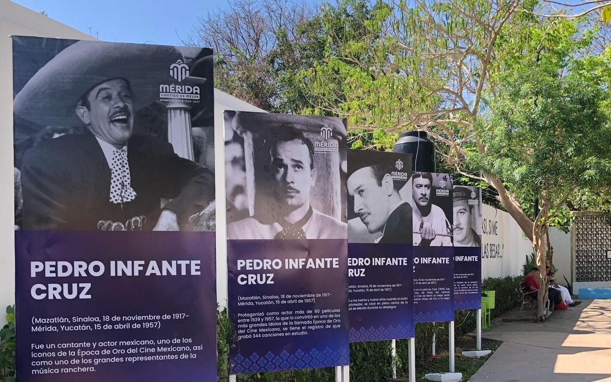 Pedro 3